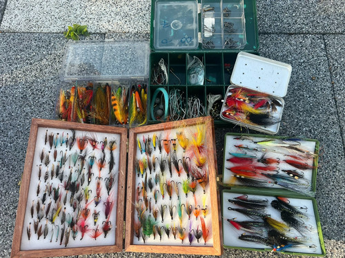 Large selection salmon - large, &