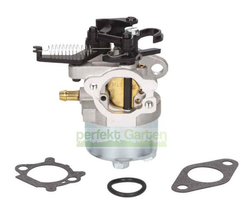 Carburetor for viking - carburetor, 655v