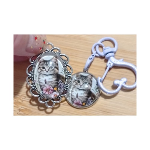 Cute little bundle tabby cat - little,