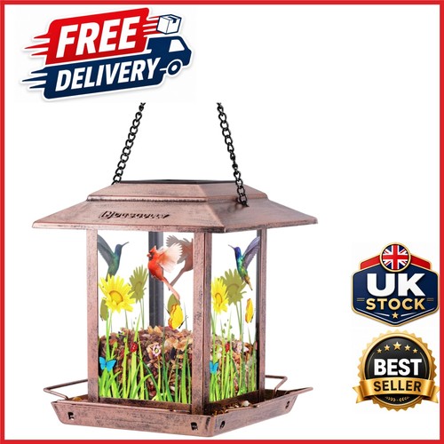 Solar bird feeder for outdoors - bird,