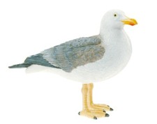Standing seagull nautical - seagull,