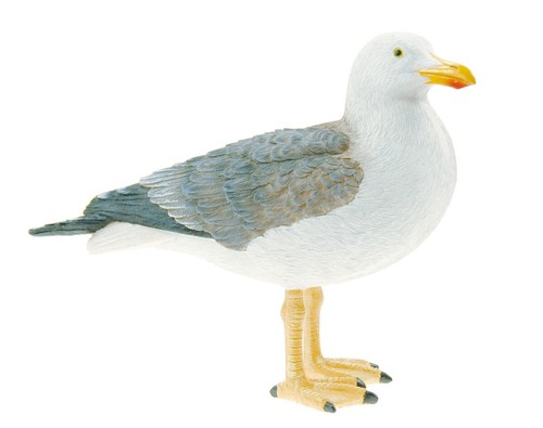 Standing seagull nautical - standing,
