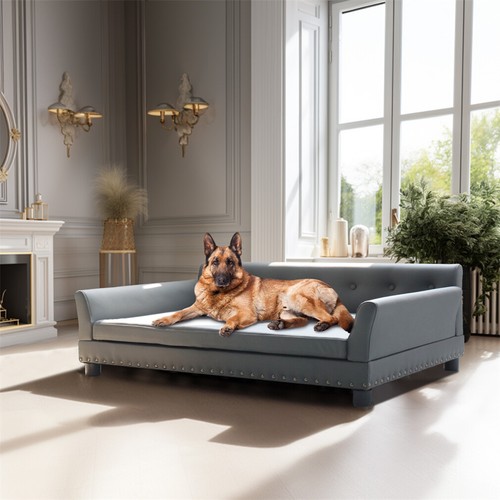 Bingopaw large dog - bingopaw,