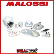 3112988 GRUPPO TERMICO MALOSSI