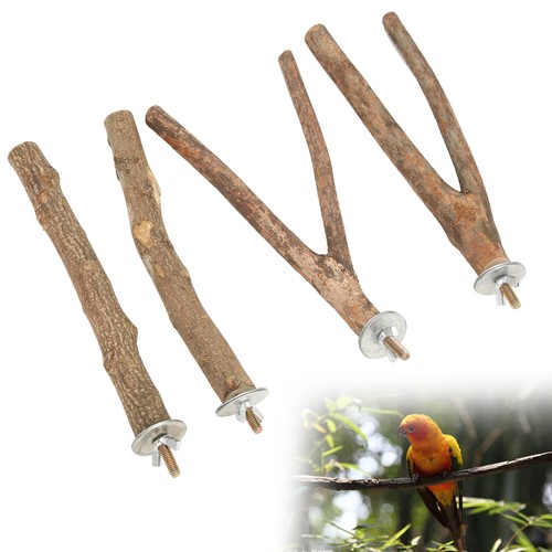 Natural wooden bird perch - bird,
