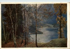 Artist Postcard - Anton