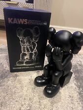 Kaws Companion Passing Through