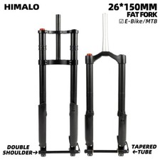 EBike MTB Downhill Mountain