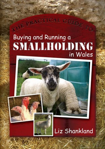 The practical guide buying - practical, to