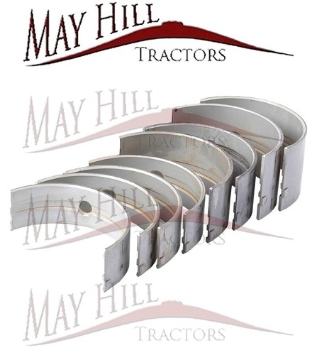 Main bearing set for - (std),