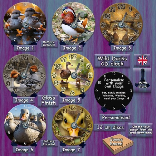 Clock wild life water fowl - wild,