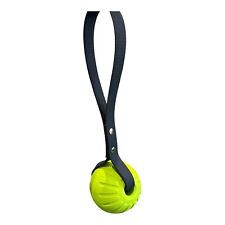 EVA Reward Training Dog Ball Foam Indestructible