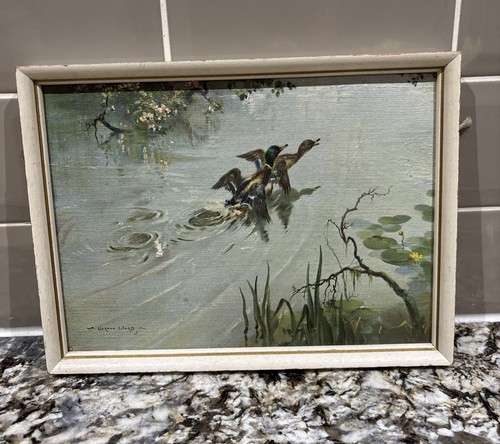Vintage print vernon - vintage,