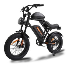 Men's Electric Bike 20" 48V15A