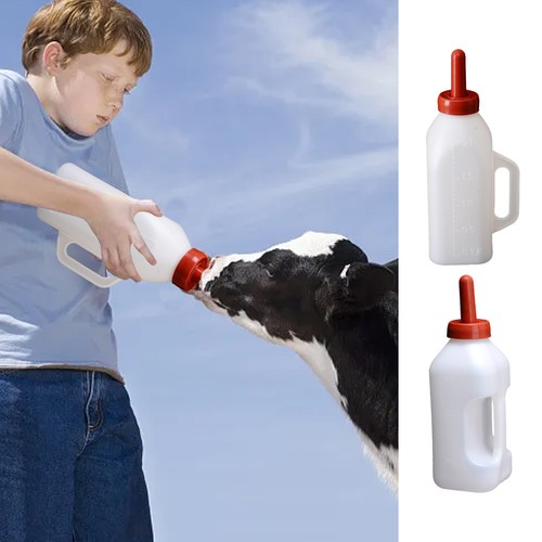 Calf lamb feeder - lamb, milk