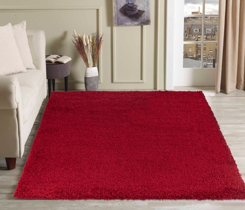 Large rugs for - rugs, room