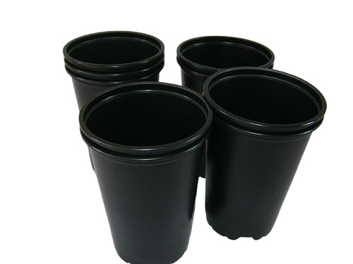 Litre deep rose - deep,