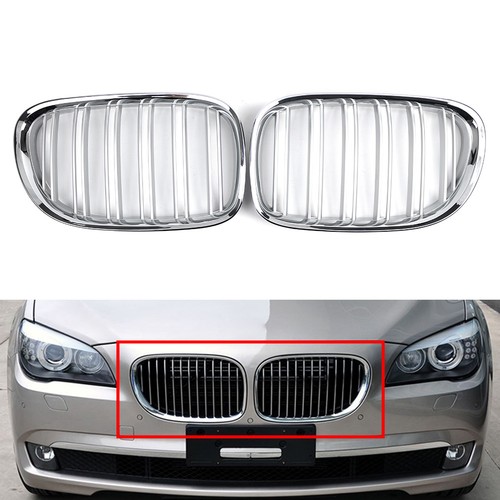Chrome front kidney grill - kidney, dual