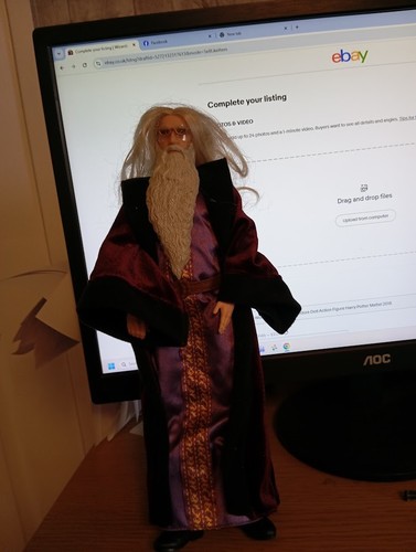 Wizarding world albus - wizarding,