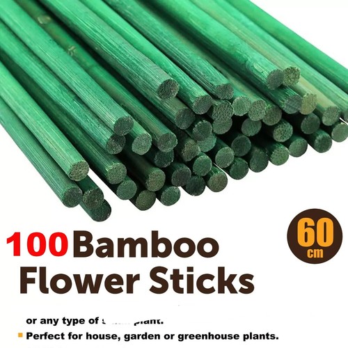 100x green bamboo - 100x,
