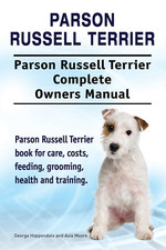 Parson Russell Terrier. Parson