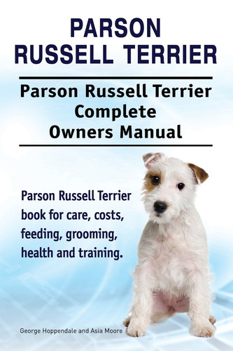 Parson russell terrier - parson, terrier.