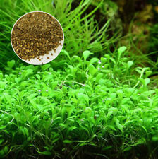 100+ Seeds Fish Tank Aquarium