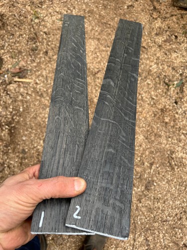 Ancient bog oak guitar - ancient,