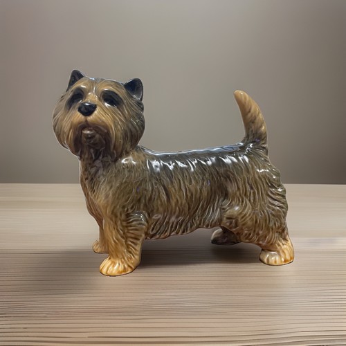 Cooper craft yorkshire terrier - cooper,