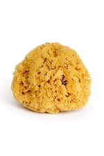 Real Sea Sponge for Men  Extra