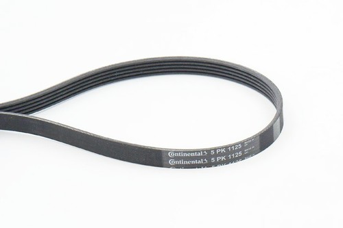 Contitech ribbed belt for - belt,