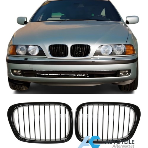 Radiator grille kidney sport