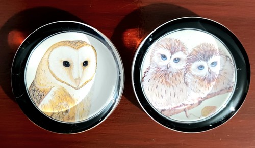 Flat owl paperweights - owl,
