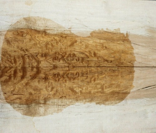 Spalted quilted maple wood - spalted,