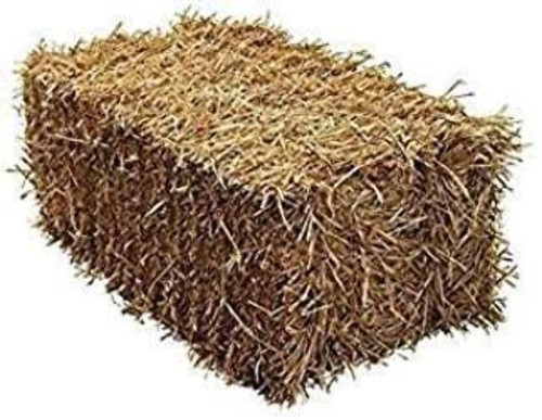 Barley straw bale the - barley,