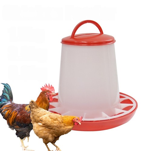 Chicken poultry feeder - feeder, drinker