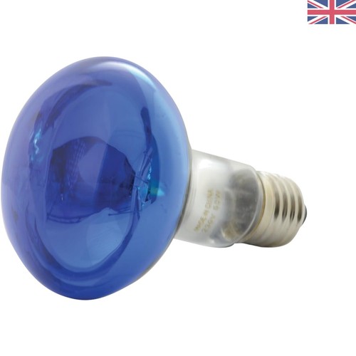 60w r80 blue reflector lamp - 60w,