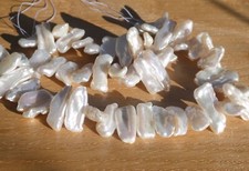 White Large Biwa Freshwater