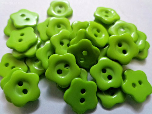 Flower daisy buttons green - flower,