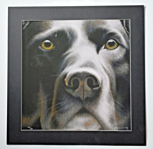Nigel hemming high - nigel,