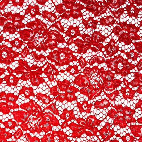 Corded lace fabric john - lace,