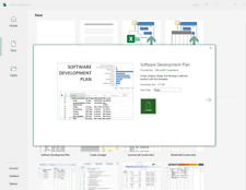 Microsoft Project Professional