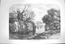 Original Old Antique Print