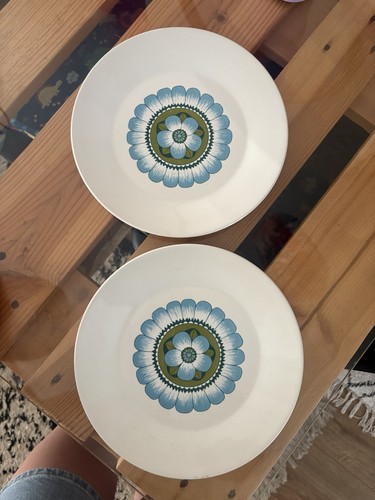 Meakin 1970s plates - meakin,
