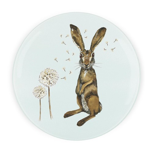 Hares glass worktop protector - hares,