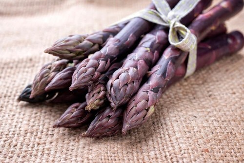 Purple passion live asparagus - purple,