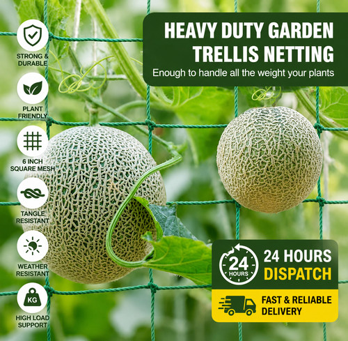 Plant support mesh - plant, net