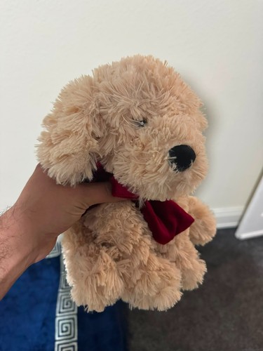 Teddy dog soft toy plush - soft,