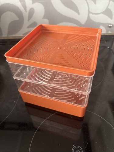 Sprouter seed tray bean - seed, sprout