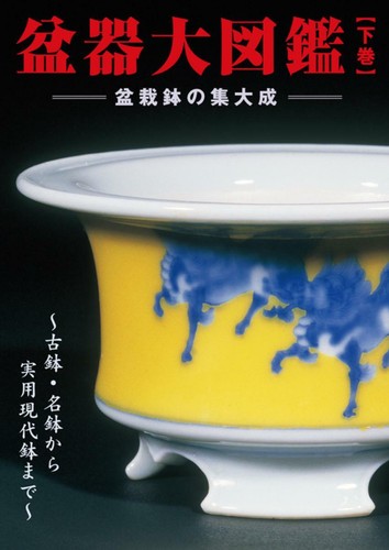 Bonsai pot encyclopedia - bonsai,